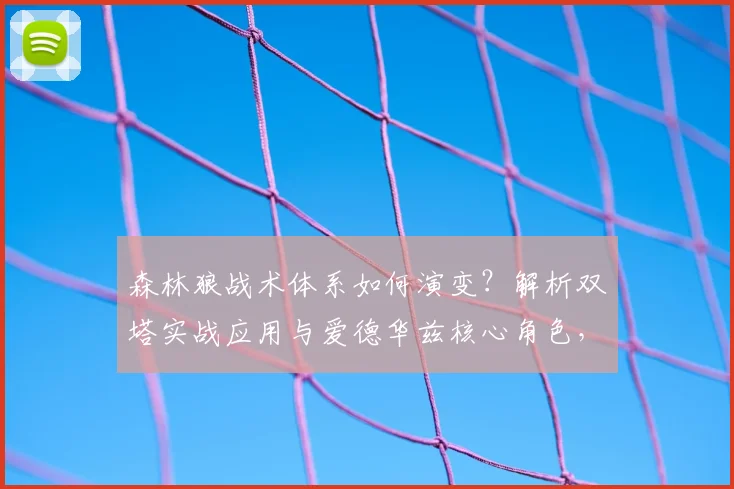 森林狼战术体系如何演变？解析双塔实战应用与爱德华兹核心角色，展望新赛季攻防构建新思路