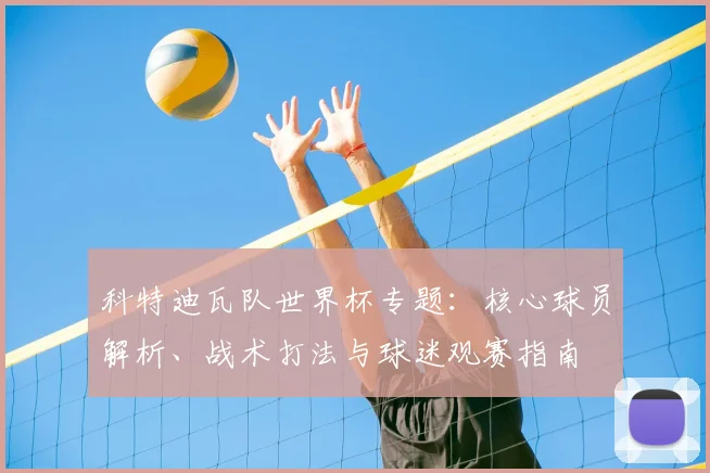 科特迪瓦队世界杯专题：核心球员解析、战术打法与球迷观赛指南